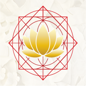 Private Coaching & Intuitive Guidance Series